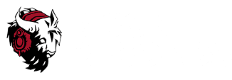 Bison Records