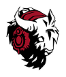 Bison Records