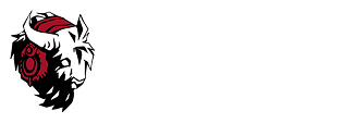 Bison Records